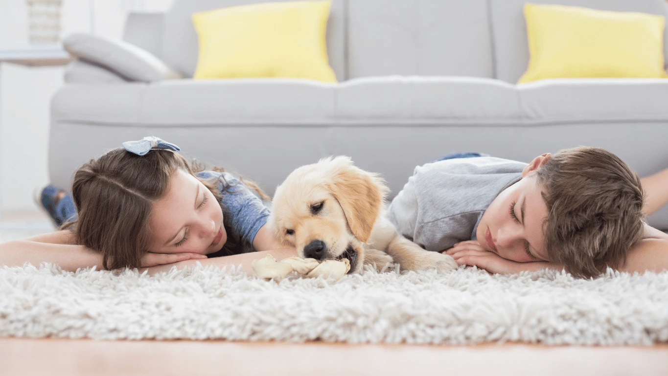 Kusové koberce s vysokým vlasem | e-shop MAXMAX.cz