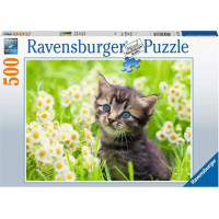 RAVENSBURGER Puzzle Koťátko na louce 500 dílků