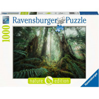 RAVENSBURGER Puzzle V lese 1000 dílků