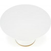 Jídelní stůl VEGA 120x76 cm - bílý/zlatý