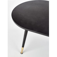 Konferenční stolek EMBER - černý/zlatý