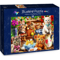 BLUEBIRD Puzzle Koťata v zahradní boudě 100 dílků