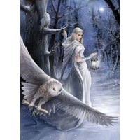 ART PUZZLE Puzzle Kolekce Anne Stokes: Půlnoční posel 1000 dílků