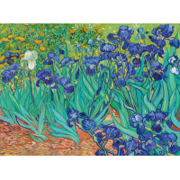 BLUEBIRD Puzzle Kosatce (1889) 3000 dílků