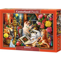 CASTORLAND Puzzle Koťata kouzelníci 1000 dílků