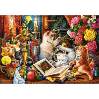 CASTORLAND Puzzle Koťata kouzelníci 1000 dílků