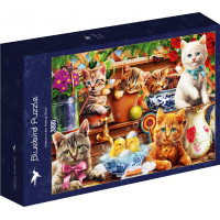 BLUEBIRD Puzzle Koťata v kůlně 3000 dílků