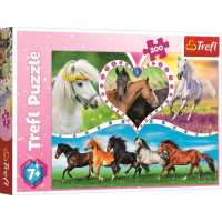 TREFL Puzzle Krásní koně 200 dílků