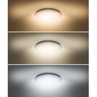 LED stropní světlo Plain, 3CCT, 36W, 2520lm, 3000K, 4000K, 6000K, kulaté, 45cm