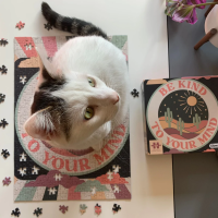 GIBSONS Puzzle Buďte laskaví ke své mysli 500 dílků