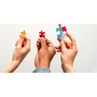 GIBSONS Puzzle Mlsání s Norou 1000 dílků
