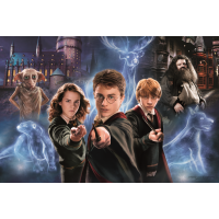 TREFL Puzzle Super Shape XL Kouzelný svět Harryho Pottera 160 dílků
