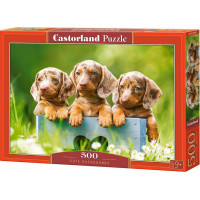 CASTORLAND Puzzle Roztomilí jezevčíci 500 dílků