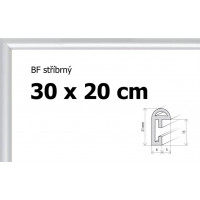 BFHM Plastový rám 30x20cm - stříbrný