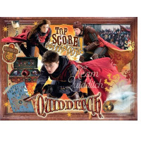 WINNING MOVES Puzzle Harry Potter: Famfrpál 1000 dílků