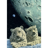 GRAFIKA Puzzle Doupě sněžných leopardů 1000 dílků