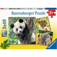 RAVENSBURGER Puzzle Panda, tygr a lev 3x49 dílků