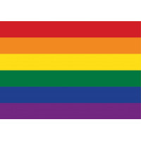 GRAFIKA Puzzle Pride Edition 1000 dílků