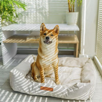 Pelíšek pro psy MILO - prošívaný - béžový