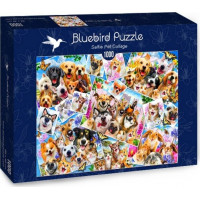 BLUEBIRD Puzzle Koláž zvířecích selfie 1000 dílků