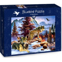 BLUEBIRD Puzzle Nový úsvit 1000 dílků
