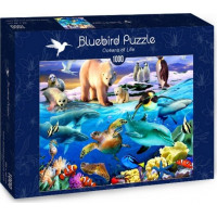 BLUEBIRD Puzzle Oceán života 1000 dílků