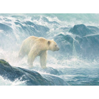 COBBLE HILL Puzzle Číhání na lososy - Lední medvěd 500 dílků