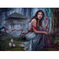 GRAFIKA Puzzle Neviditelná noc 3000 dílků