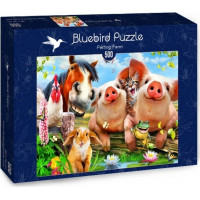 BLUEBIRD Puzzle Roztomilá domácí zvířata 500 dílků