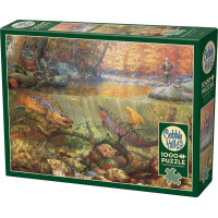 COBBLE HILL Puzzle Vysněný podzimní den 1000 dílků