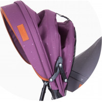 CHIPOLINO Tříkolka pro dvojčata 2Play Liliac,Platinum