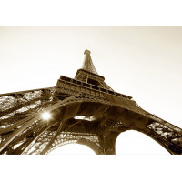 Moderní fototapeta - Eiffelova věž - černobílá - 360x254 cm