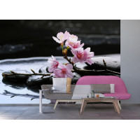 Moderní fototapeta - Květy sakury na lávových kamenech - 360x254 cm