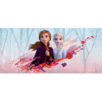 Dětská fototapeta Disney - FROZEN - Anna a Elsa v podzimním větru - 202x90 cm
