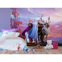 Dětská fototapeta DISNEY - Ledové království - Hrdinové Frozen 2 - 360x270 cm