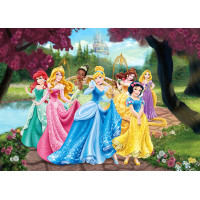 Dětská fototapeta DISNEY - Princezny u rybníku - 155x110 cm