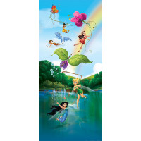 Dětská fototapeta DISNEY - Víly a duha - 90x202 cm