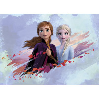 Dětská fototapeta DISNEY - FROZEN - Elsa a Anna spolu - 155x110 cm