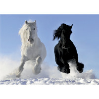 Moderní fototapeta - Běžící koně ve sněhu - 155x110 cm