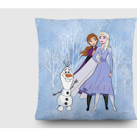 Dětský polštářek FROZEN 2 kreslený 40x40 cm