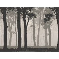 Moderní fototapeta - Tajemný les - 360x270 cm