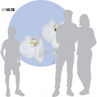 Moderní fototapeta - Orchidej na modrém pozadí - kulatá - 140 cm