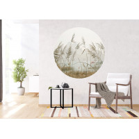 Moderní fototapeta - Rákosí - kulatá - 140 cm