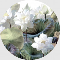Moderní fototapeta - Bílé lotosy - kulatá - 140 cm