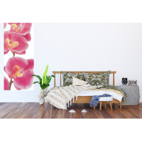 Moderní fototapeta - Růžové orchideje - 90x202 cm