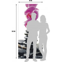Moderní fototapeta - Orchidej a kameny - 90x202 cm