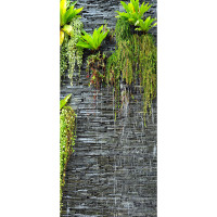 Moderní fototapeta - Rostliny na zdi - 90x202 cm
