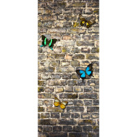 Moderní fototapeta - Motýli na kamenné zdi - 90x202 cm