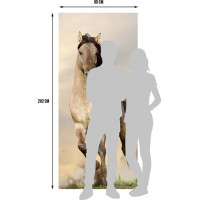 Moderní fototapeta - Cválající kůň - 90x202 cm