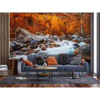 Moderní fototapeta - Řeka v podzimním lese - 360x270 cm